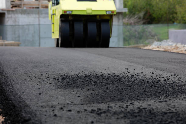 Best Local Driveway Pavers  in Ladera Heights, CA