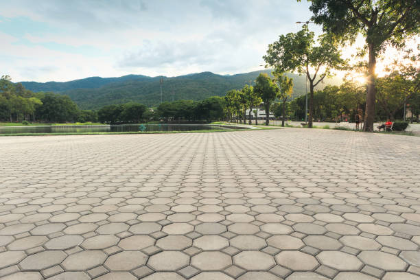 Best Commercial Driveway Pavers  in Ladera Heights, CA